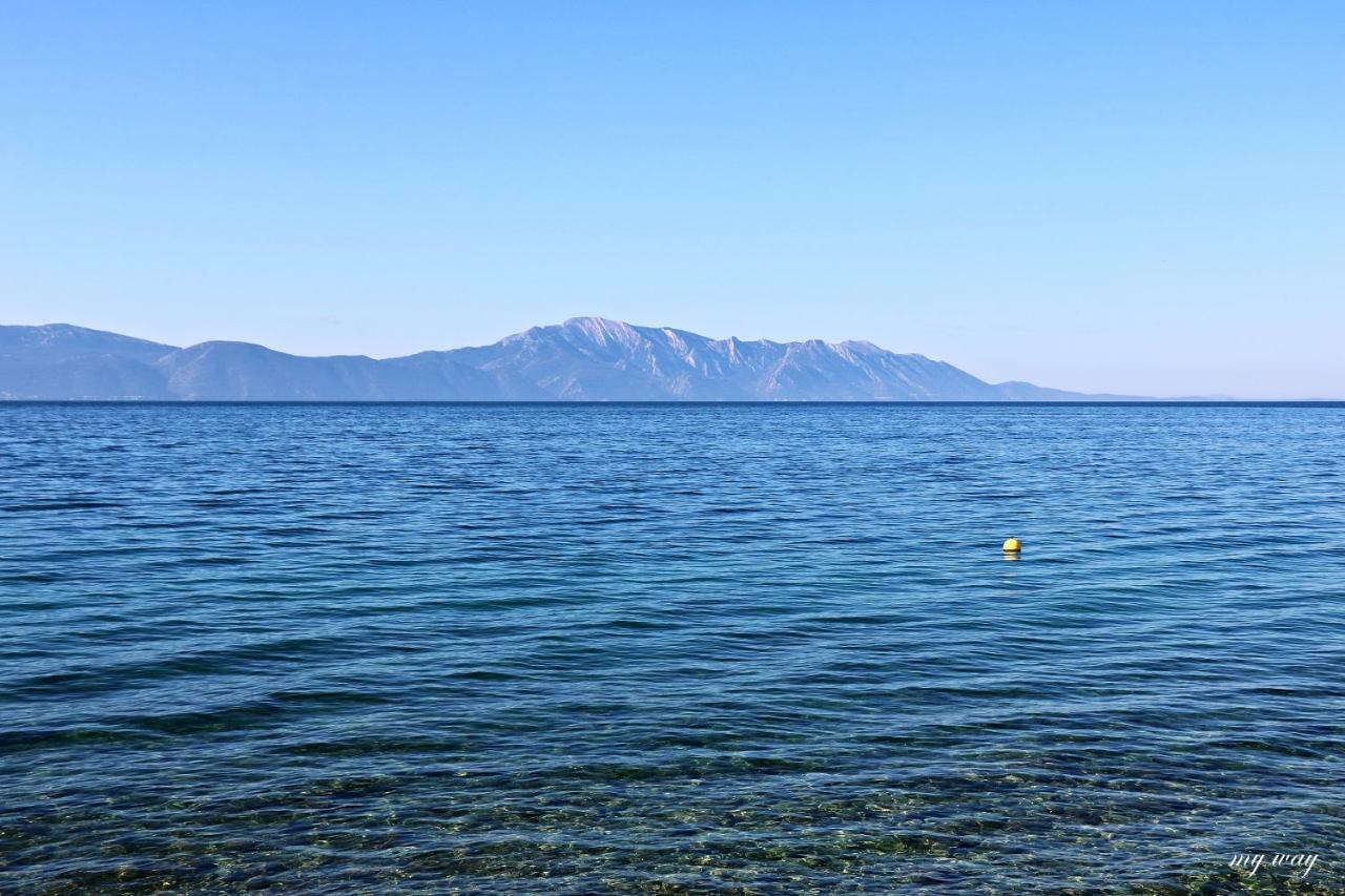 Apartament Family Gradac  Zewnętrze zdjęcie