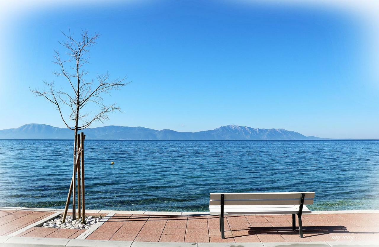 Apartament Family Gradac  Zewnętrze zdjęcie
